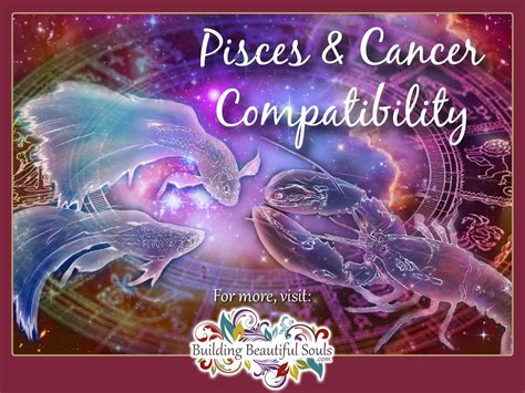 cancer and pisces compatibility|More.